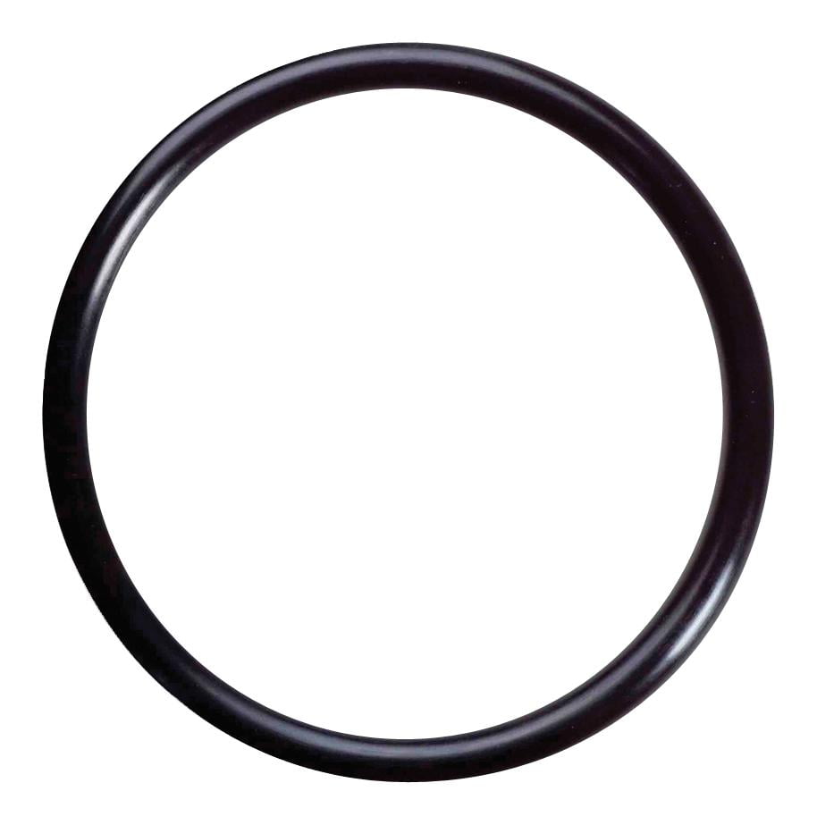 OEM Mazda MX-5 NA CAS O-Ring (Nokkenassensor)
